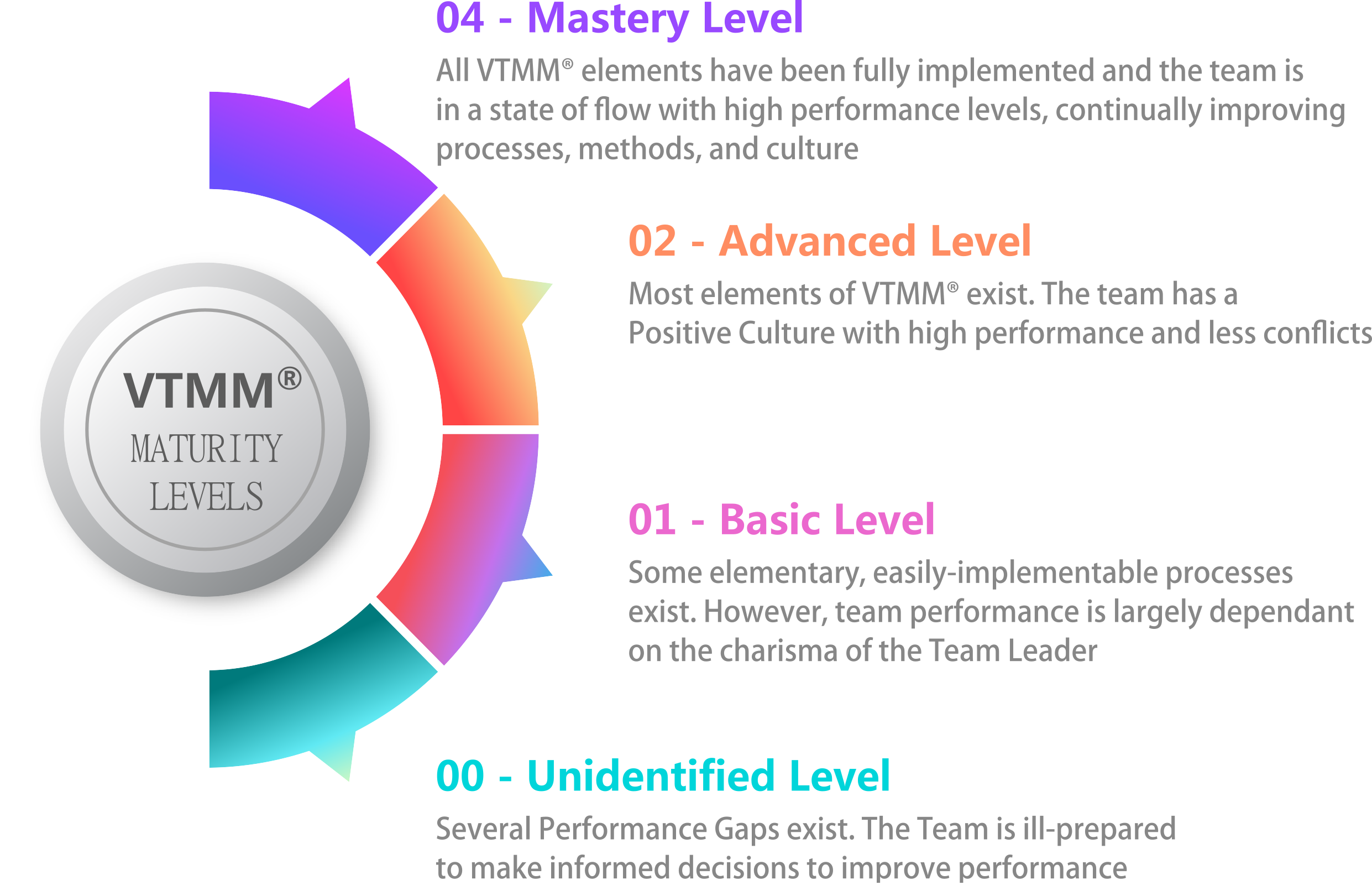 VTMM Maturity Levels